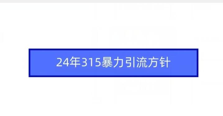 24年315暴力引流方针-知库