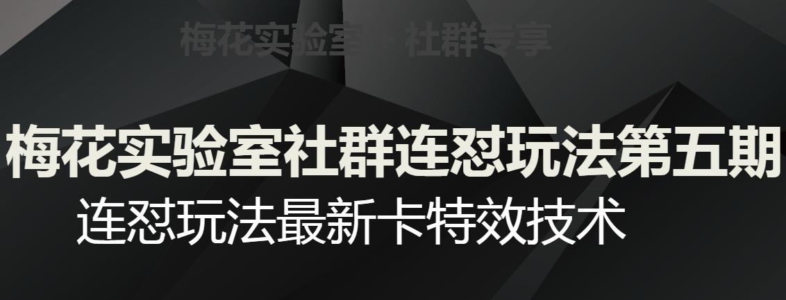 梅花实验室社群连怼玩法第五期，视频号连怼玩法最新卡特效技术-知库