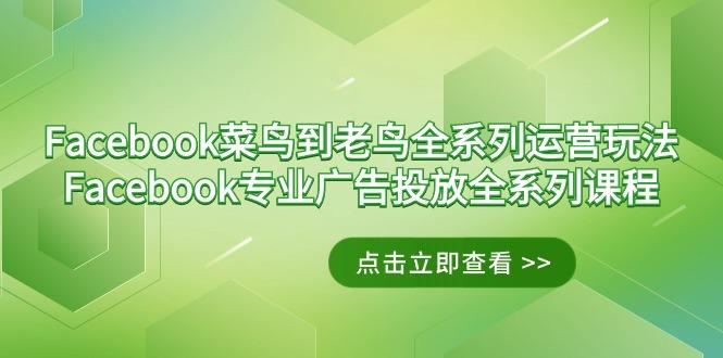 Facebook-菜鸟到老鸟全系列运营玩法+Facebook-专业广告投放全系列课程-知库