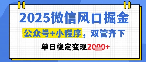 2025微信风口掘金，公众号+小程序双管齐下，单日稳定变现1k+【揭秘】-知库