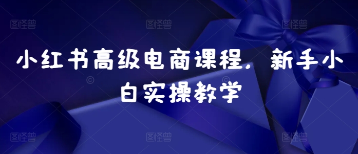 小红书高级电商课程，新手小白实操教学-知库