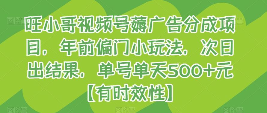 旺小哥视频号薅广告分成项目，年前偏门小玩法，次日出结果，单号单天500+元【有时效性】-知库