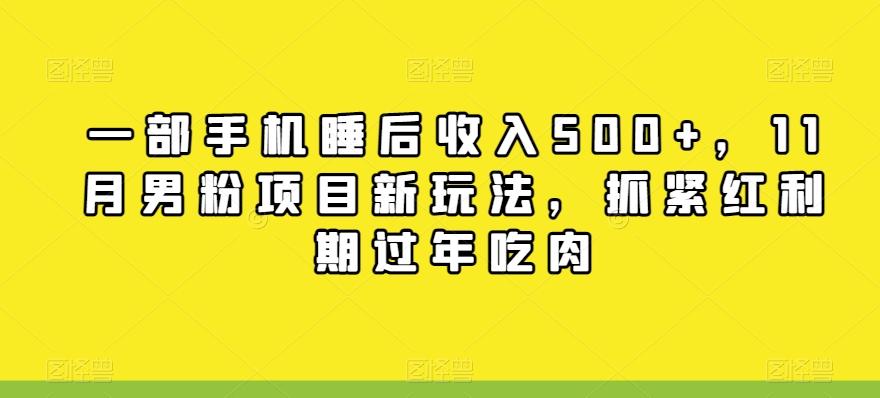 一部手机睡后收入500+，11月男粉项目新玩法，抓紧红利期过年吃肉-知库