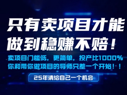 只有卖项目才能做到稳挣不赔，门槛低，更简单，你也可以年入百个W【揭秘】-知库