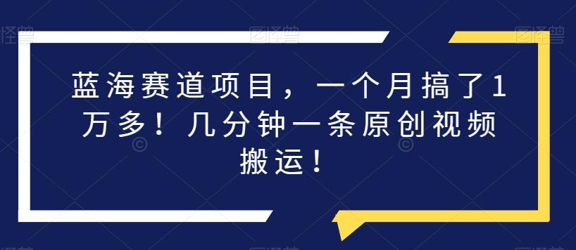 蓝海赛道项目，一个月搞了1万多！几分钟一条原创视频搬运！-知库