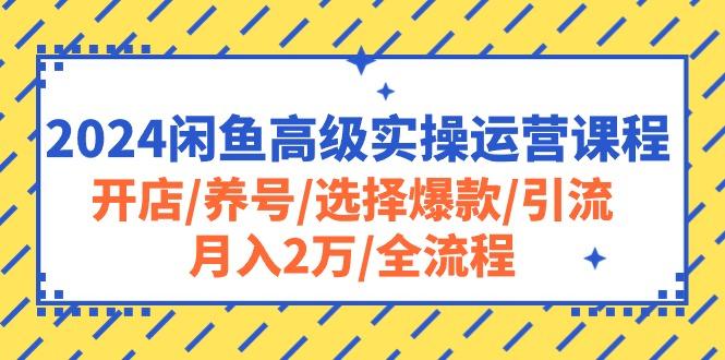 2024闲鱼高级实操运营课程：开店/养号/选择爆款/引流/月入2万/全流程-知库