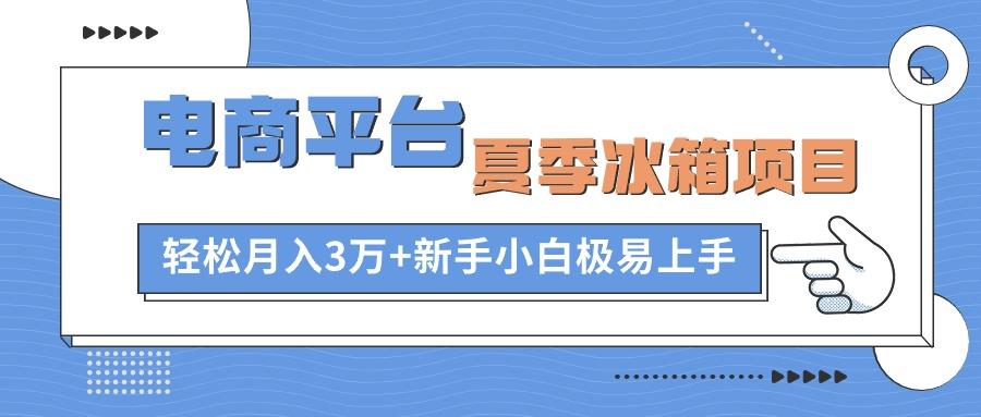 电商平台夏季冰箱项目，轻松月入3万+，新手小白极易上手-知库