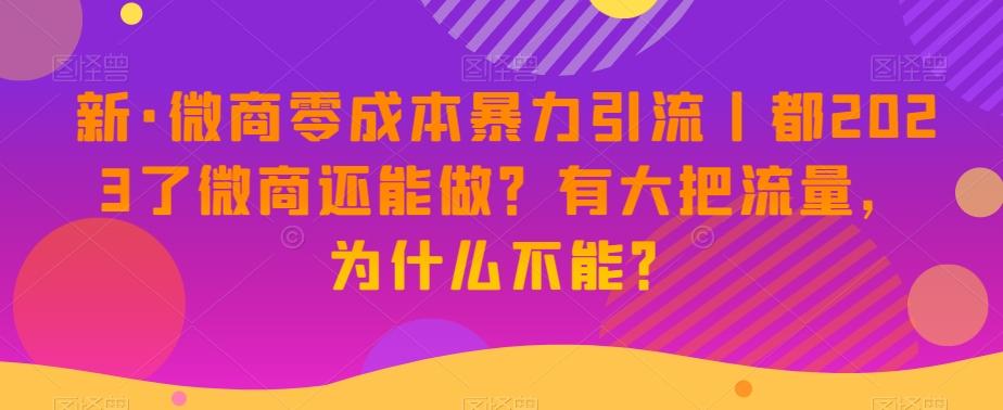 新·微商零成本暴力引流丨都2023了微商还能做？有大把流量，为什么不能？-知库