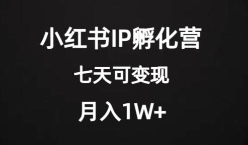 价值2000+的小红书IP孵化营项目，超级大蓝海，七天即可开始变现，稳定月入1W+-知库