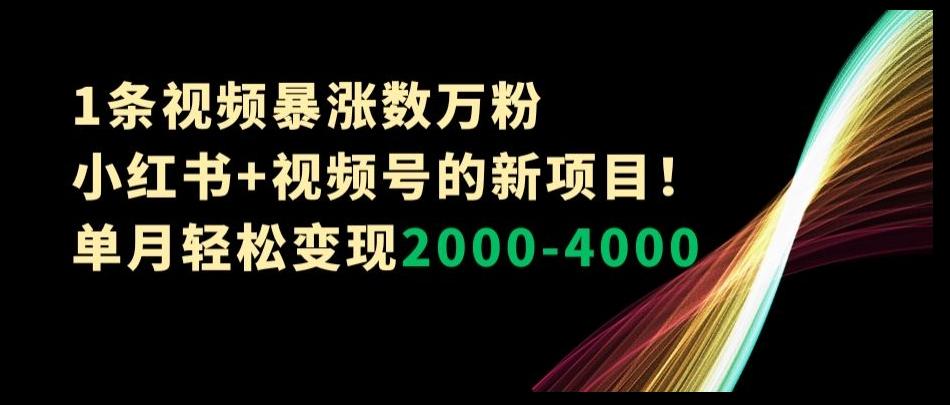 1条视频暴涨数万粉–小红书+视频号的新项目！单月轻松变现2000-4000【揭秘】-知库