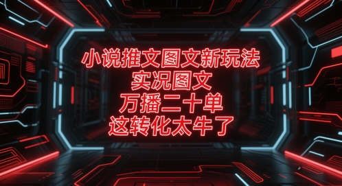 小说推文图文新玩法，实况图文，万播二十单，这转化太牛了！-知库