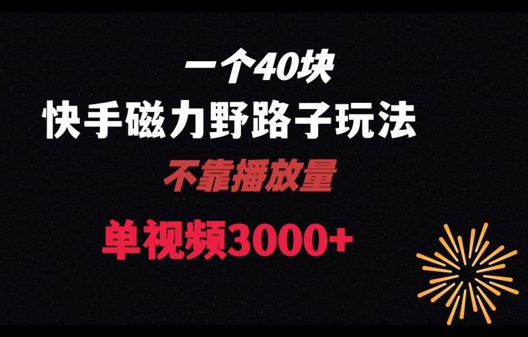 一个40块，快手联合美团磁力新玩法，无视机制野路子玩法，单视频收益4位数【揭秘】-知库