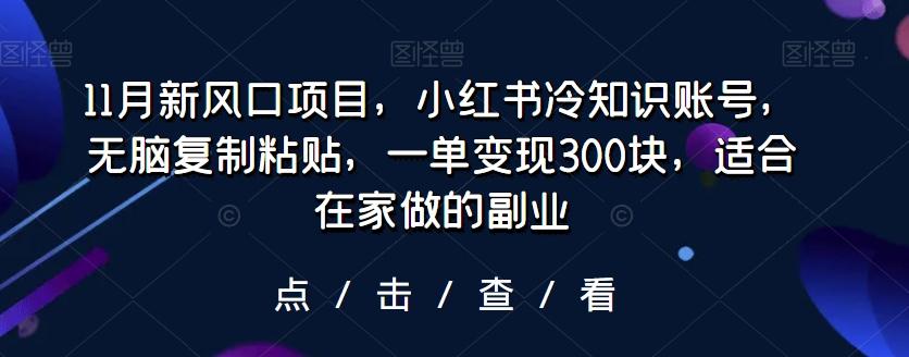 11月新风口项目，小红书冷知识账号，无脑复制粘贴，一单变现300块，适合在家做的副业-知库