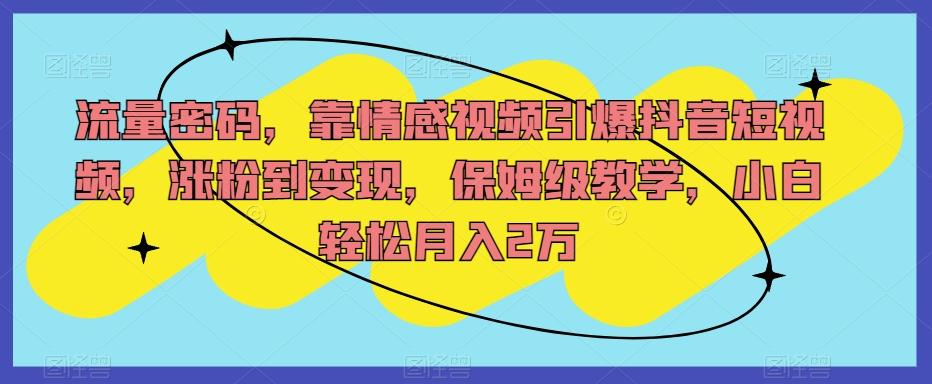 流量密码，靠情感视频引爆抖音短视频，涨粉到变现，保姆级教学，小白轻松月入2万【揭秘】-知库