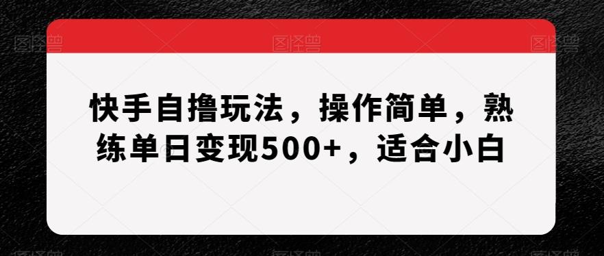 快手自撸玩法，操作简单，熟练单日变现500+，适合小白【揭秘】-知库