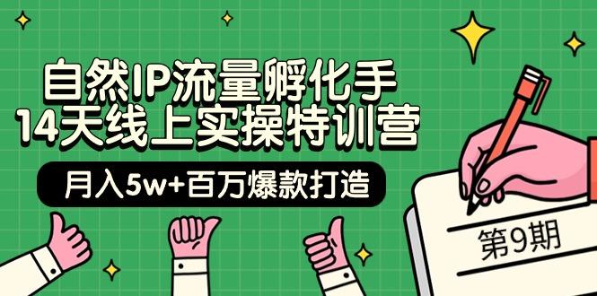 (9881期)自然IP流量孵化手 14天线上实操特训营【第9期】月入5w+百万爆款打造 (74节)-知库