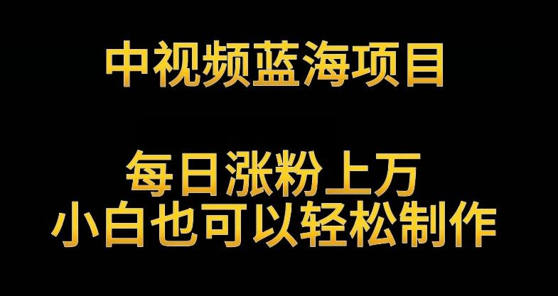 中视频蓝海项目，解读英雄人物生平，每日涨粉上万，小白也可以轻松制作，月入过万不是梦【揭秘】-知库