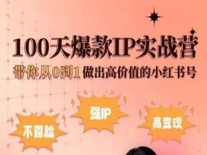 小红书100天爆款IP实战营，带你从0到1做出高价值的小红书号-知库