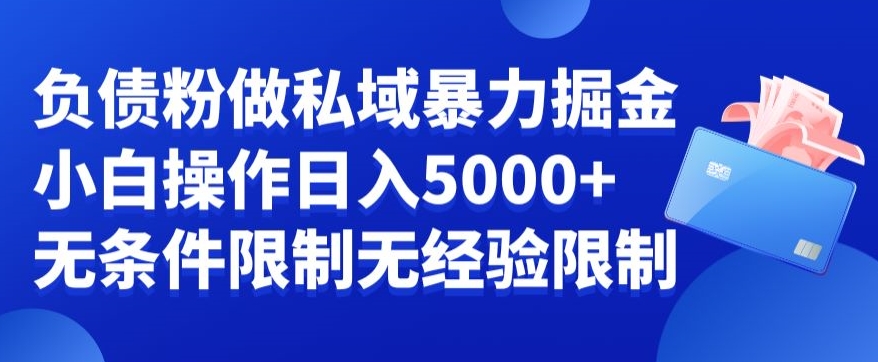 负债粉私域暴力掘金，小白操作入5000，无经验限制，无条件限制【揭秘】-知库