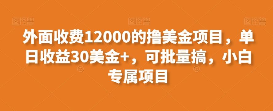 外面收费12000的撸美金项目，单日收益30美金+，可批量搞，小白专属项目-知库