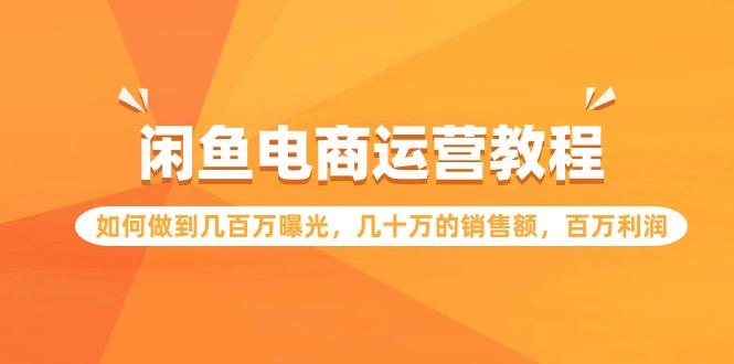 (9560期)闲鱼电商运营教程：如何做到几百万曝光，几十万的销售额，百万利润-知库