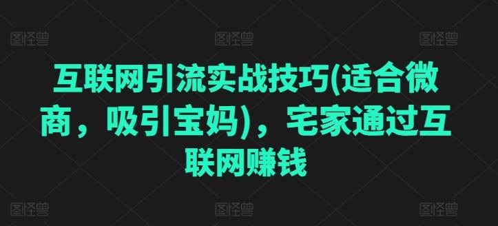 互联网引流实战技巧(适合微商，吸引宝妈)，宅家通过互联网赚钱-知库