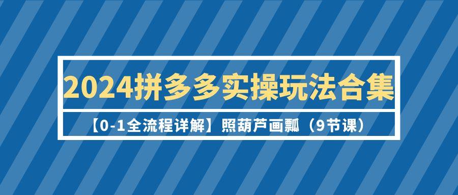 (9559期)2024拼多多实操玩法合集【0-1全流程详解】照葫芦画瓢(9节课)-知库