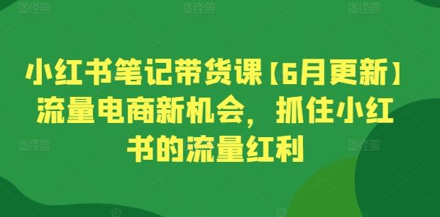 小红书笔记带货课【6月更新】流量电商新机会，抓住小红书的流量红利-知库