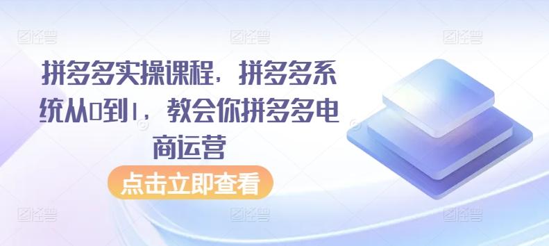 拼多多实操课程，拼多多系统从0到1，教会你拼多多电商运营-知库