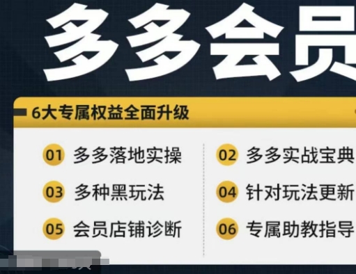 拼多多会员，拼多多实战宝典+实战落地实操，从新手到高阶内容全面覆盖-知库