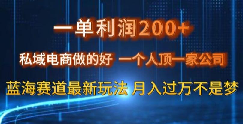 一单利润200私域电商做的好，一个人顶一家公司蓝海赛道最新玩法【揭秘】-知库