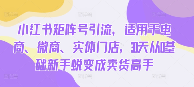 小红书矩阵号引流，适用于电商、微商、实体门店，30天从0基础新手蜕变成卖货高手-知库