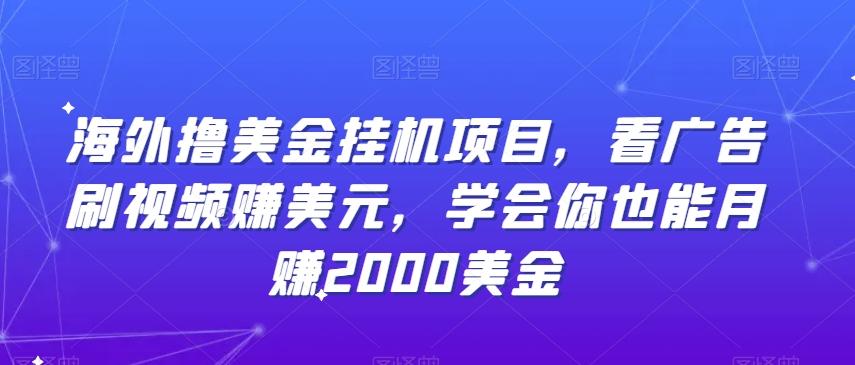 海外撸美金挂机项目，看广告刷视频赚美元，学会你也能月赚2000美金-知库