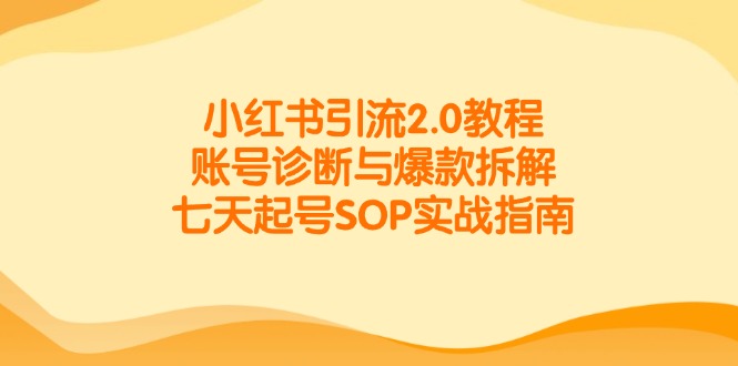 小红书引流2.0教程，账号诊断与爆款拆解，七天起号SOP实战指南-知库