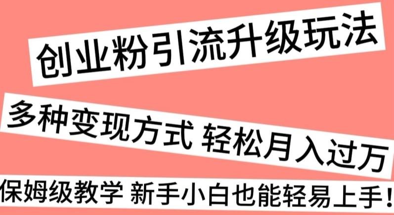 创业粉引流升级玩法，多种变现方式轻松月入过万，保姆级教学新手小白也能轻易上手！-知库