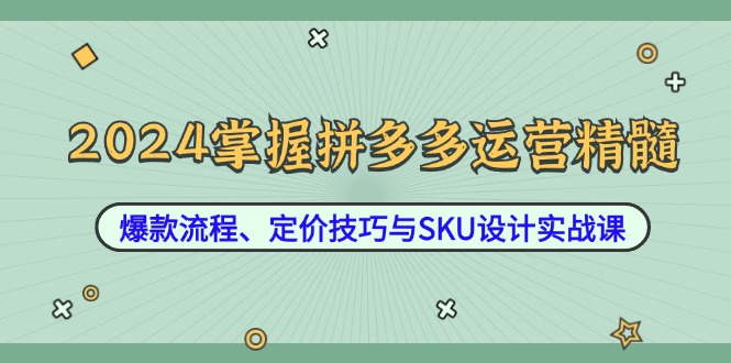 2024掌握拼多多运营精髓：爆款流程、定价技巧与SKU设计实战课-知库