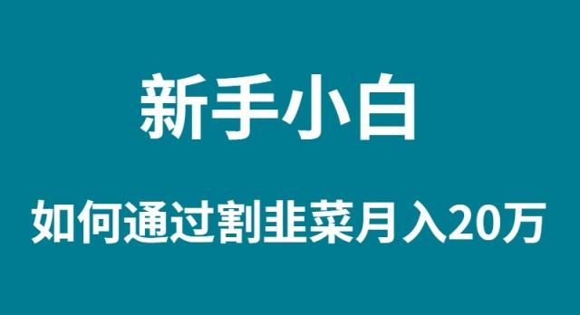 (9308期)新手小白如何通过割韭菜月入 20W-知库