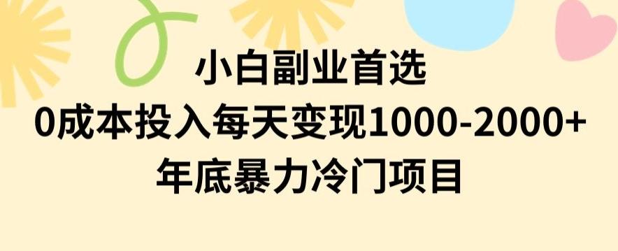 小白副业首选，0成本投入，每天变现1000-2000年底暴力冷门项目【揭秘】-知库