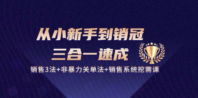 从小新手到销冠 三合一速成：销售3法+非暴力关单法+销售系统挖需课 (27节-知库