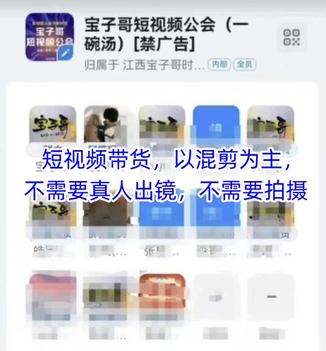 宝子哥头部团队短视频带货，以混剪为主，不需要真人出镜，不需要拍摄【更新】-知库