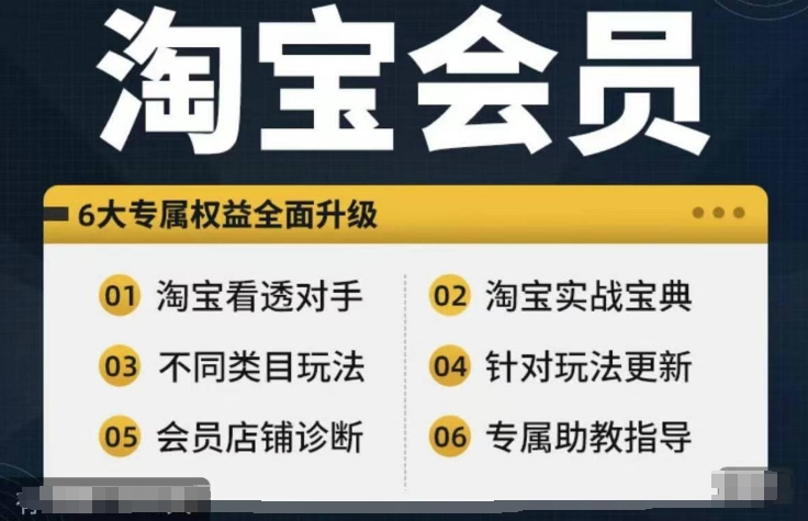 淘宝会员【淘宝所有课程，全面分析对手】，初级到高手全系实战宝典-知库