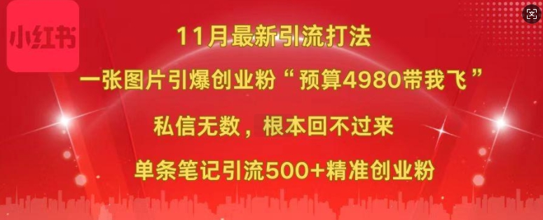 小红书11月最新图片打粉，一张图片引爆创业粉，“预算4980带我飞”，单条引流500+精准创业粉-知库