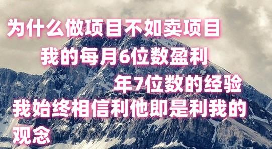 做项目不如卖项目，每月6位数盈利，年7位数经验-知库