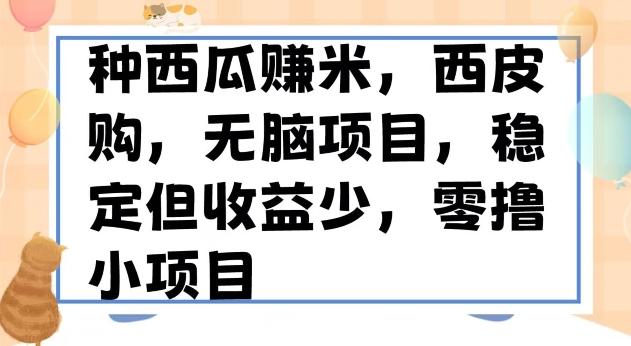 种西瓜赚米，西皮购稳定长久零撸小项目-知库