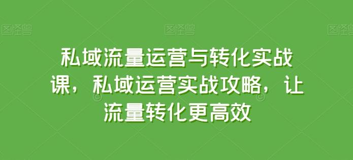 私域流量运营与转化实战课，私域运营实战攻略，让流量转化更高效-知库