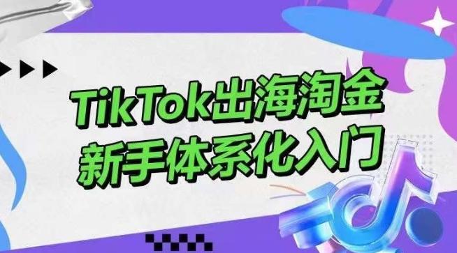 TikTok出海淘金，新手体系化入门，零基础快速入门，掌握短视频、直播带货等引流到变现的知识-知库