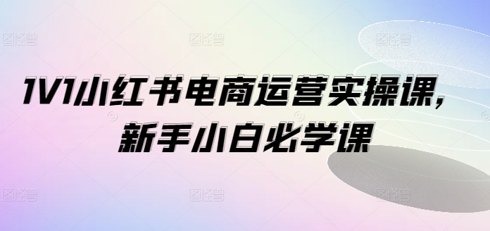 1V1小红书电商运营实操课，新手小白必学课-知库