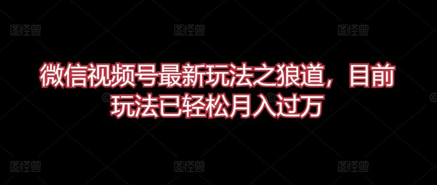 微信视频号最新玩法之狼道，目前玩法已轻松月入过万【揭秘】-知库