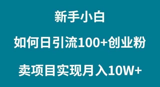 (9556期)新手小白如何通过卖项目实现月入10W+-知库