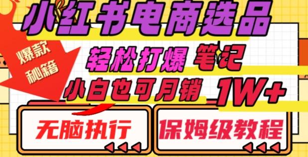 小红书电商爆款选品秘籍，帮你轻松打爆笔记，小白也可轻松月销10000+-知库